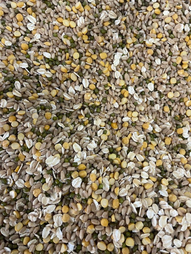 Close-up of the multigrain blend with oats, lentils, mung, and whole grains