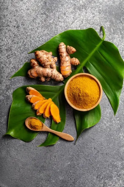 Fresh Lakadong turmeric roots, slices, and golden powder